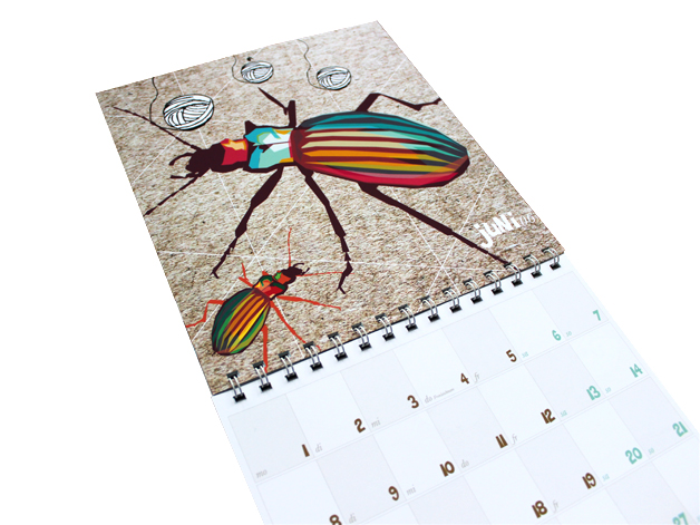 Kalender 2015 monkimia